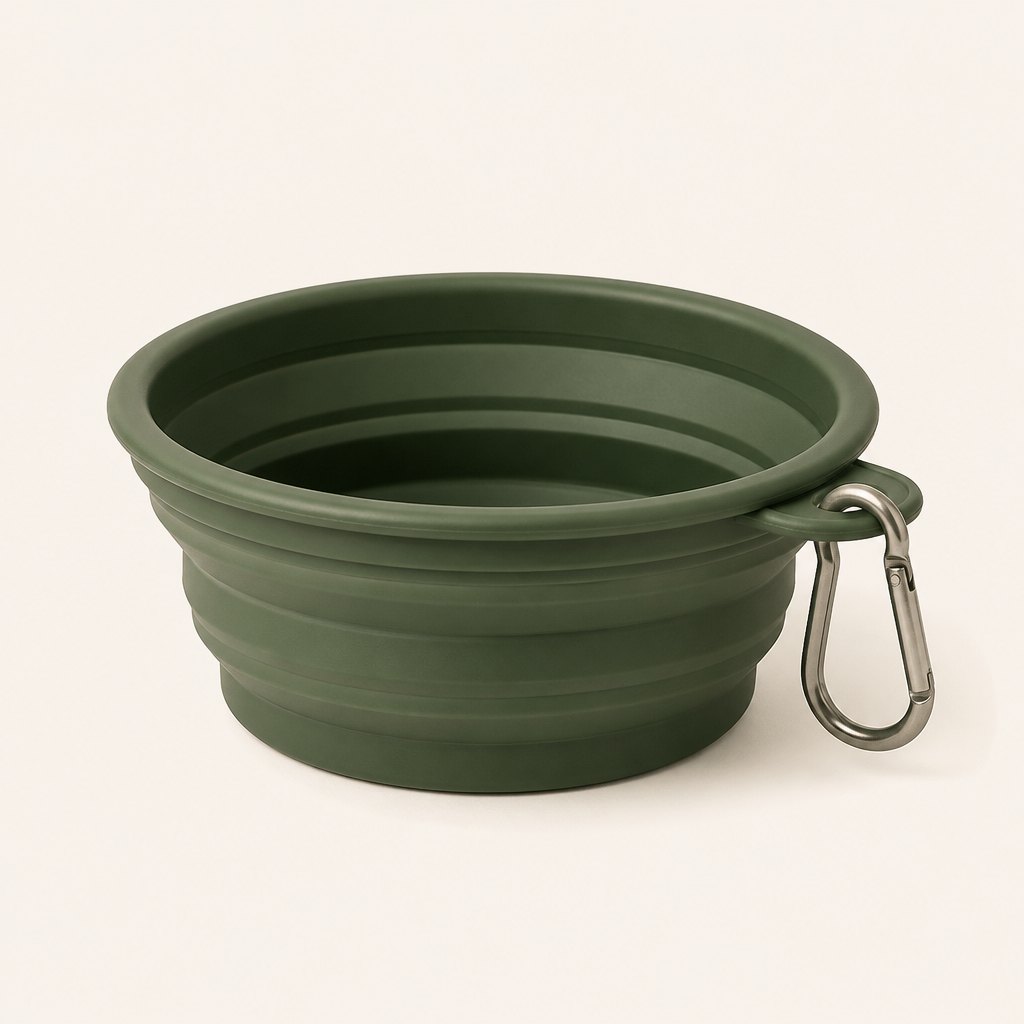 Collapsible Silicone Travel Bowl — Product